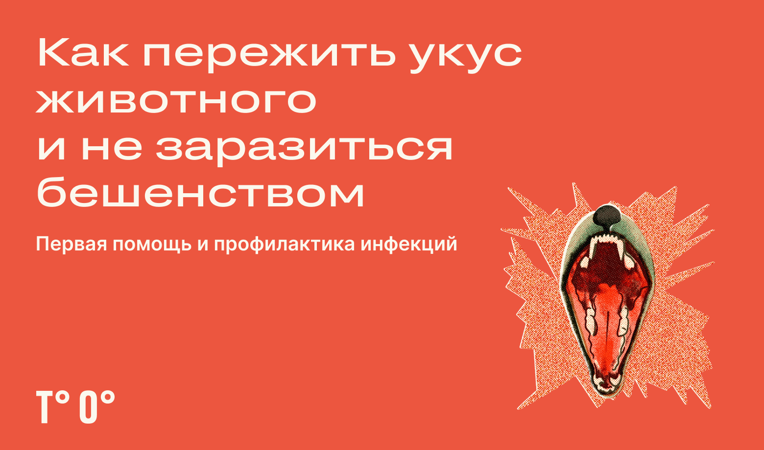 Как пережить укус животного и не заразиться бешенством — Трудовая оборона