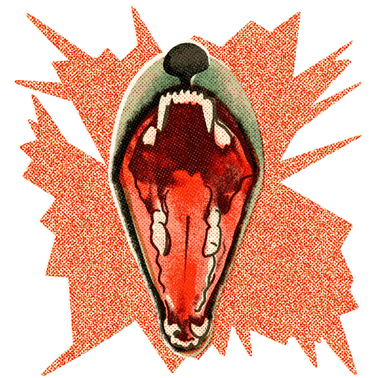 Как пережить укус животного и не заразиться бешенством — Трудовая оборона