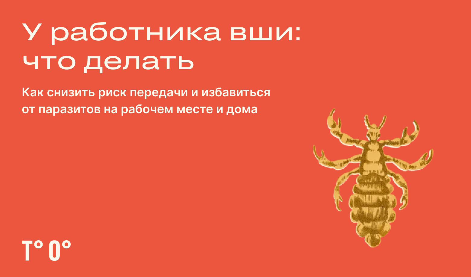 Вши на работе: как остановить распространение — Трудовая оборона