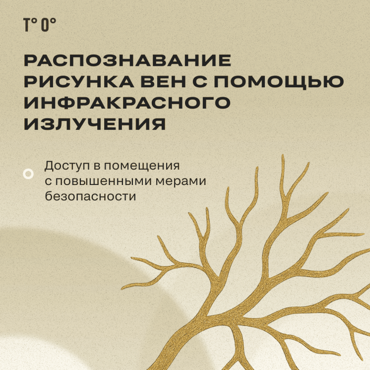 Биометрия на производстве: преимущество, базовая опция или риск?