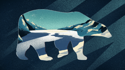 Встреча с медведем: как сохранить жизнь и избежать нападения