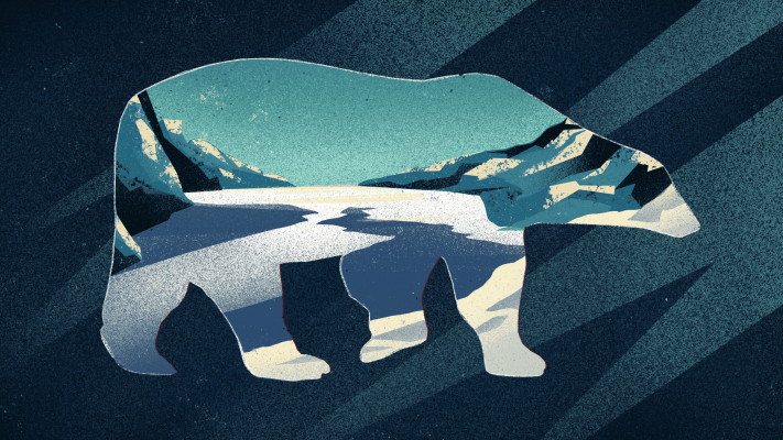 Встреча с медведем: как сохранить жизнь и избежать нападения