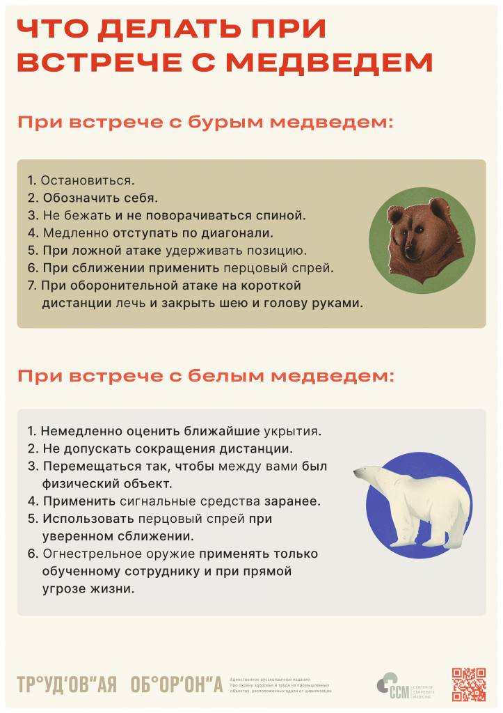 Встреча с медведем: как сохранить жизнь и избежать нападения