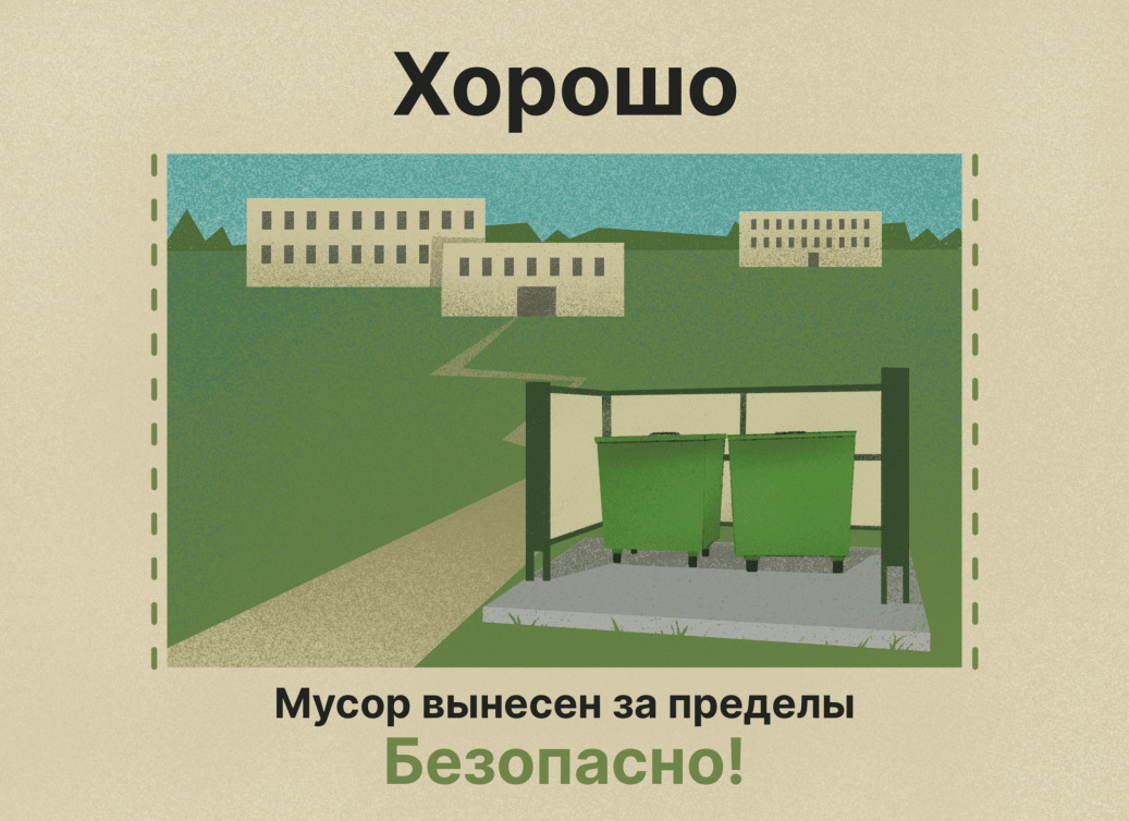 Встреча с медведем: как сохранить жизнь и избежать нападения